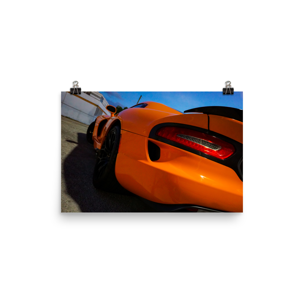 "Serpent" | Premium Photo Print