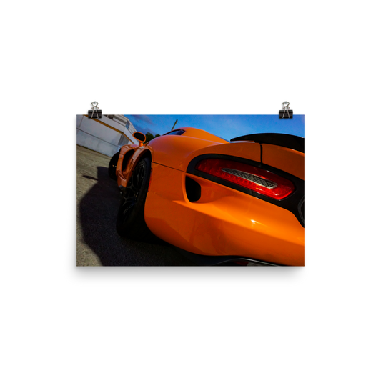 "Serpent" | Premium Photo Print